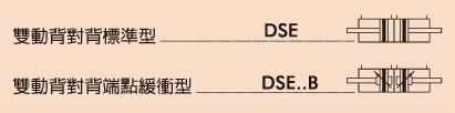 DSE多位置不銹鋼氣缸